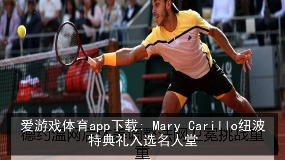 爱游戏体育app下载: Mary Carillo纽波特典礼入选名人堂